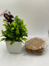 Load image into Gallery viewer, Gurudi