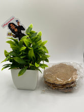 Load image into Gallery viewer, Gurudi