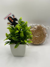 Load image into Gallery viewer, Gurudi