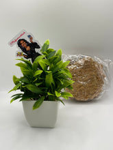 Load image into Gallery viewer, Gurudi